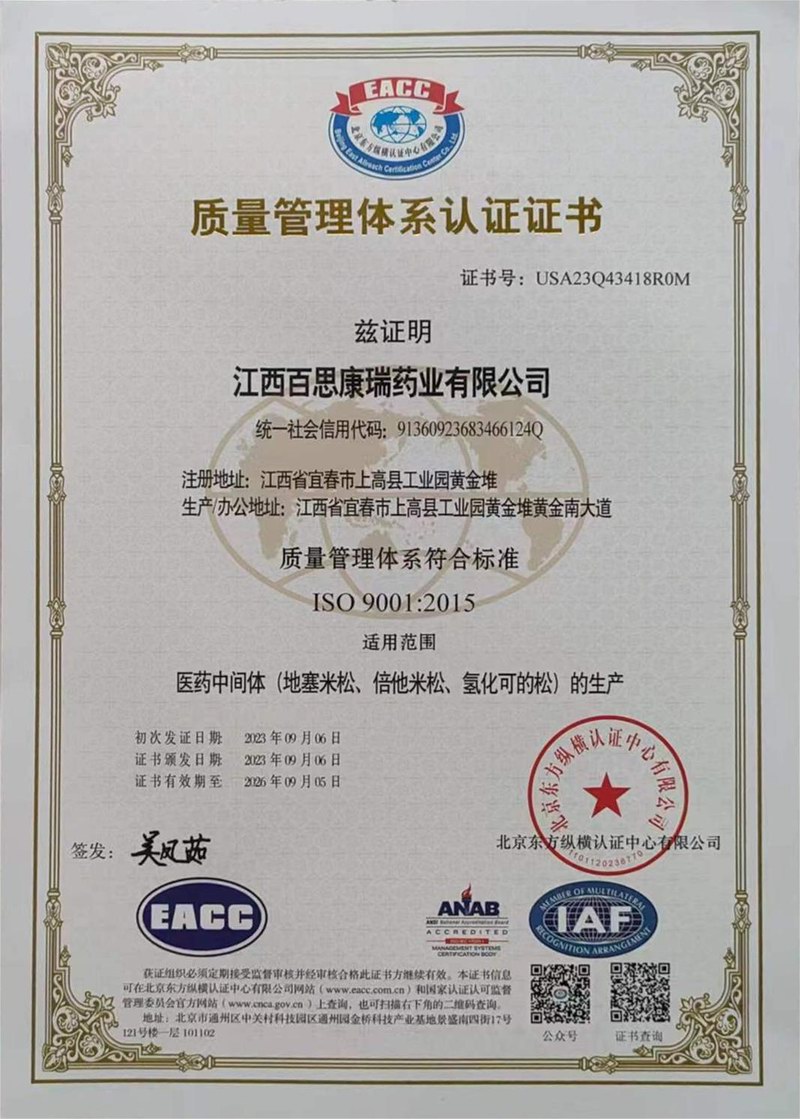 ISO-9001-2015 中文版